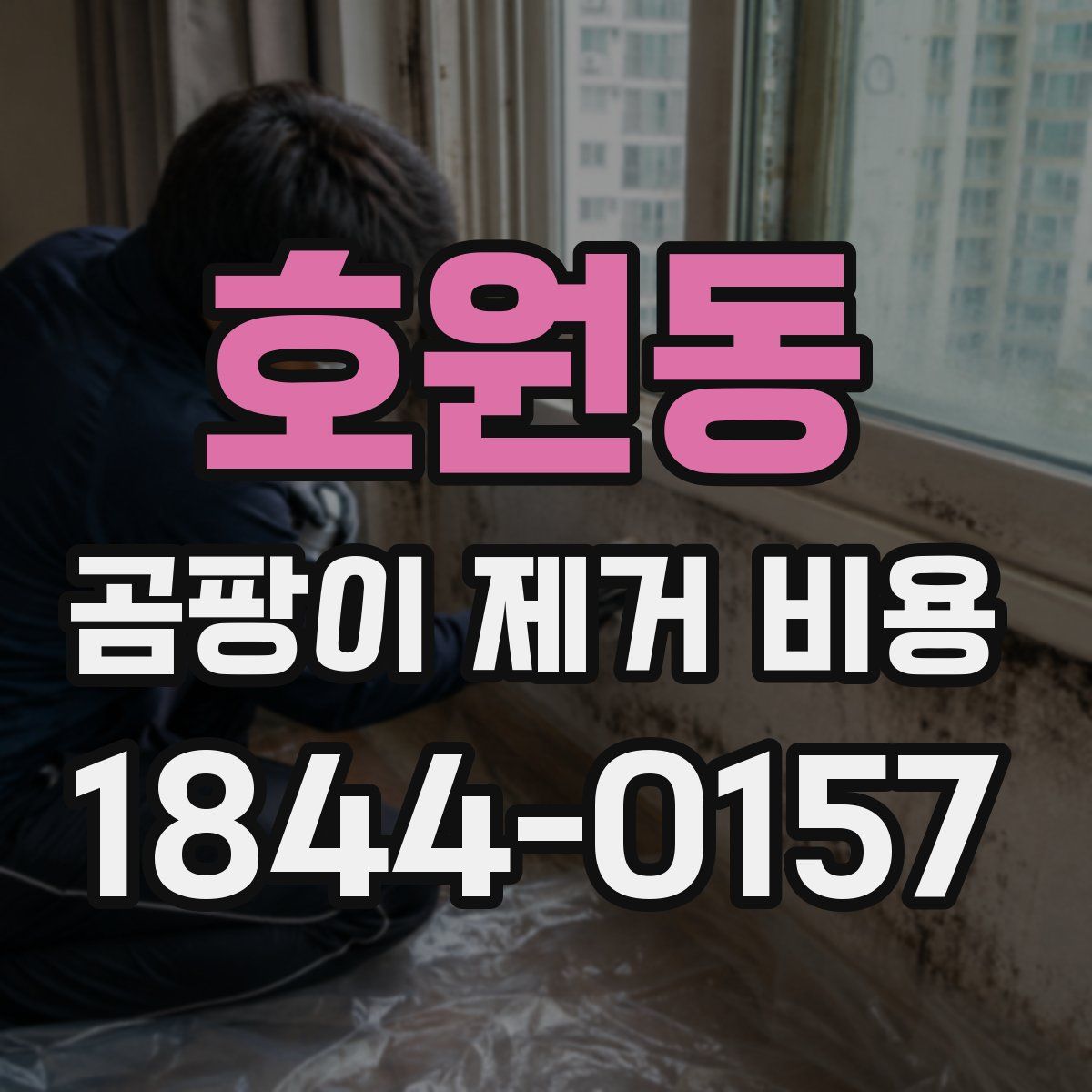 호원동 곰팡이 제거 비용