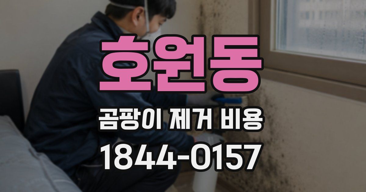 호원동 곰팡이 제거 비용