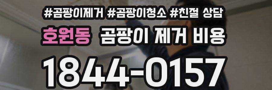호원동 곰팡이 제거 비용