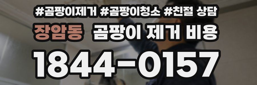 장암동 곰팡이 제거 비용