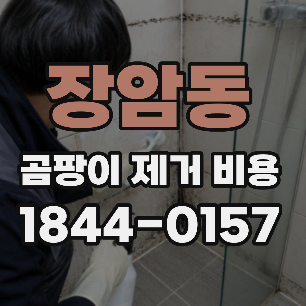 장암동 곰팡이 제거 비용
