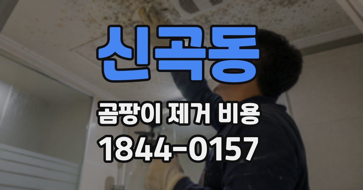 신곡동 곰팡이 제거 비용