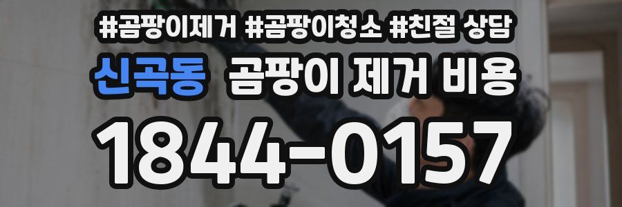 신곡동 곰팡이 제거 비용