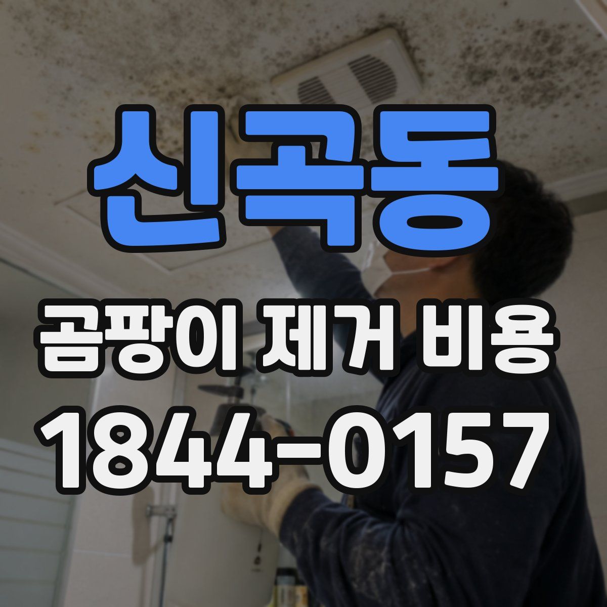 신곡동 곰팡이 제거 비용