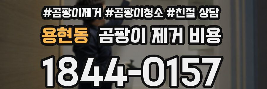 용현동 곰팡이 제거 비용