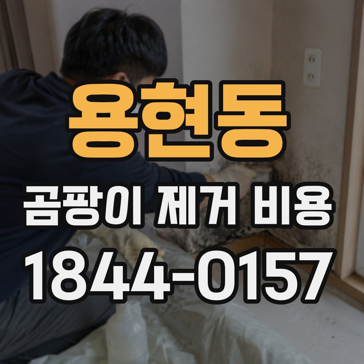 용현동 곰팡이 제거 비용