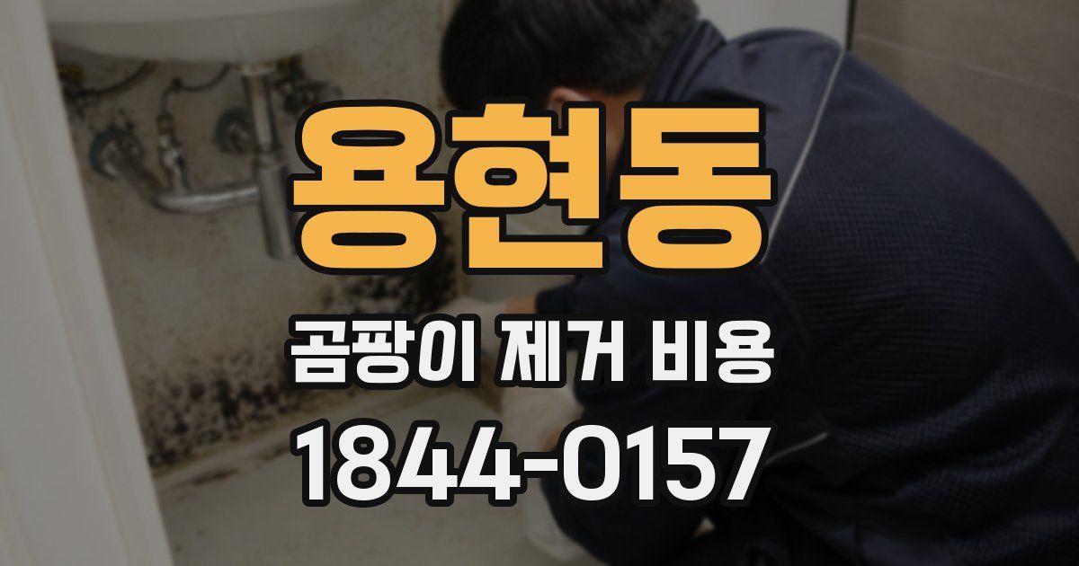 용현동 곰팡이 제거 비용
