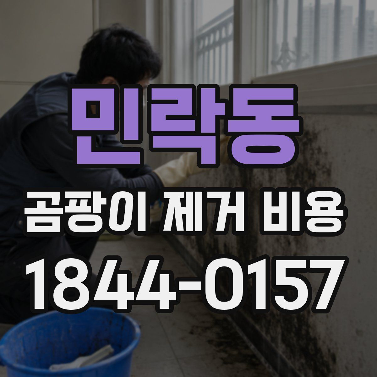 민락동 곰팡이 제거 비용