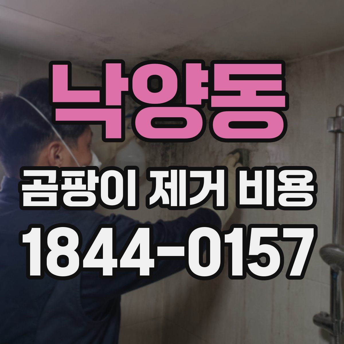 낙양동 곰팡이 제거 비용