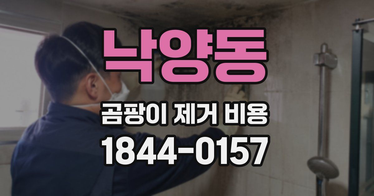 낙양동 곰팡이 제거 비용