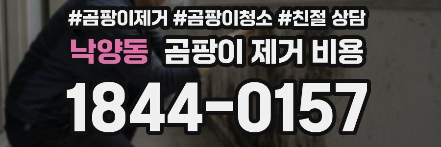 낙양동 곰팡이 제거 비용