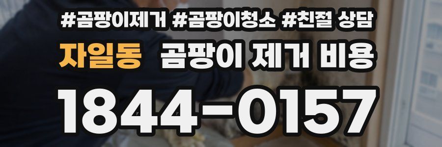 자일동 곰팡이 제거 비용