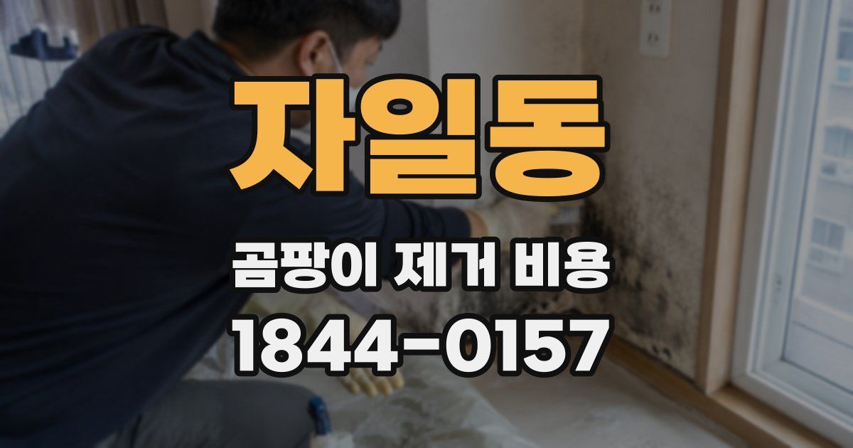 자일동 곰팡이 제거 비용