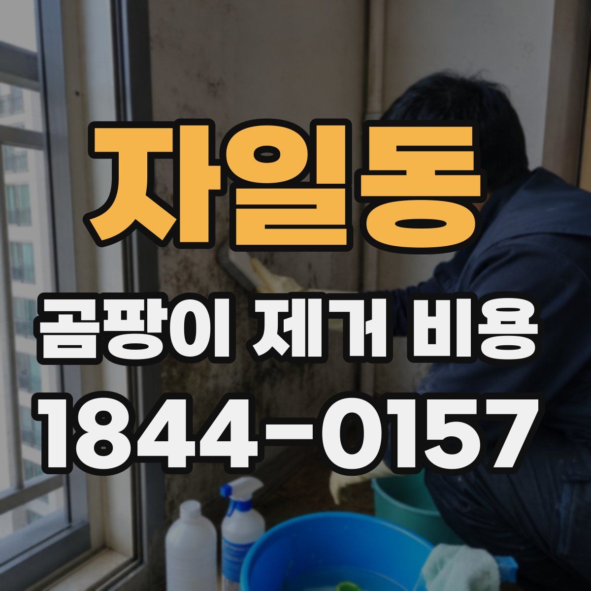자일동 곰팡이 제거 비용