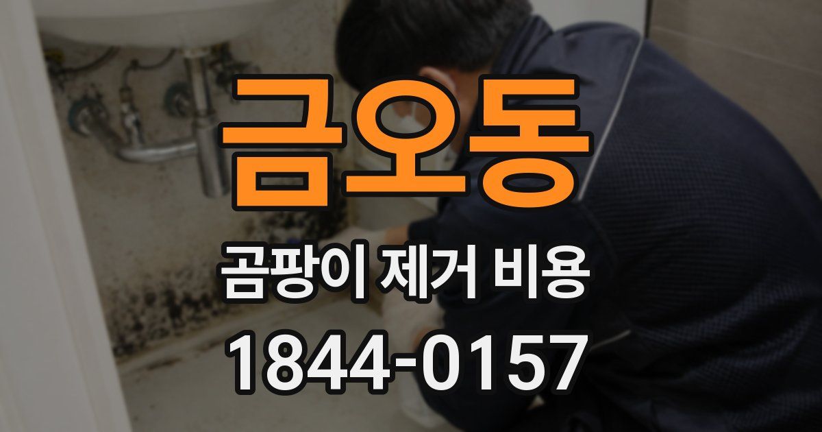 금오동 곰팡이 제거 비용