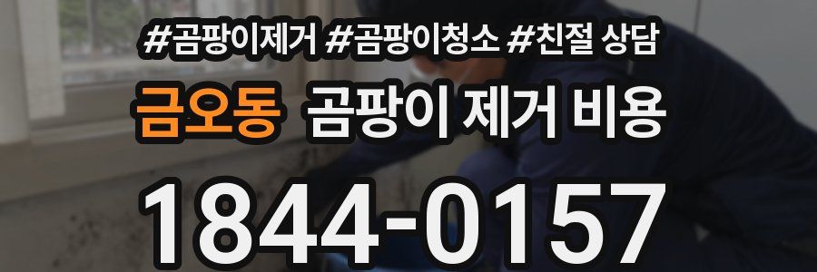 금오동 곰팡이 제거 비용