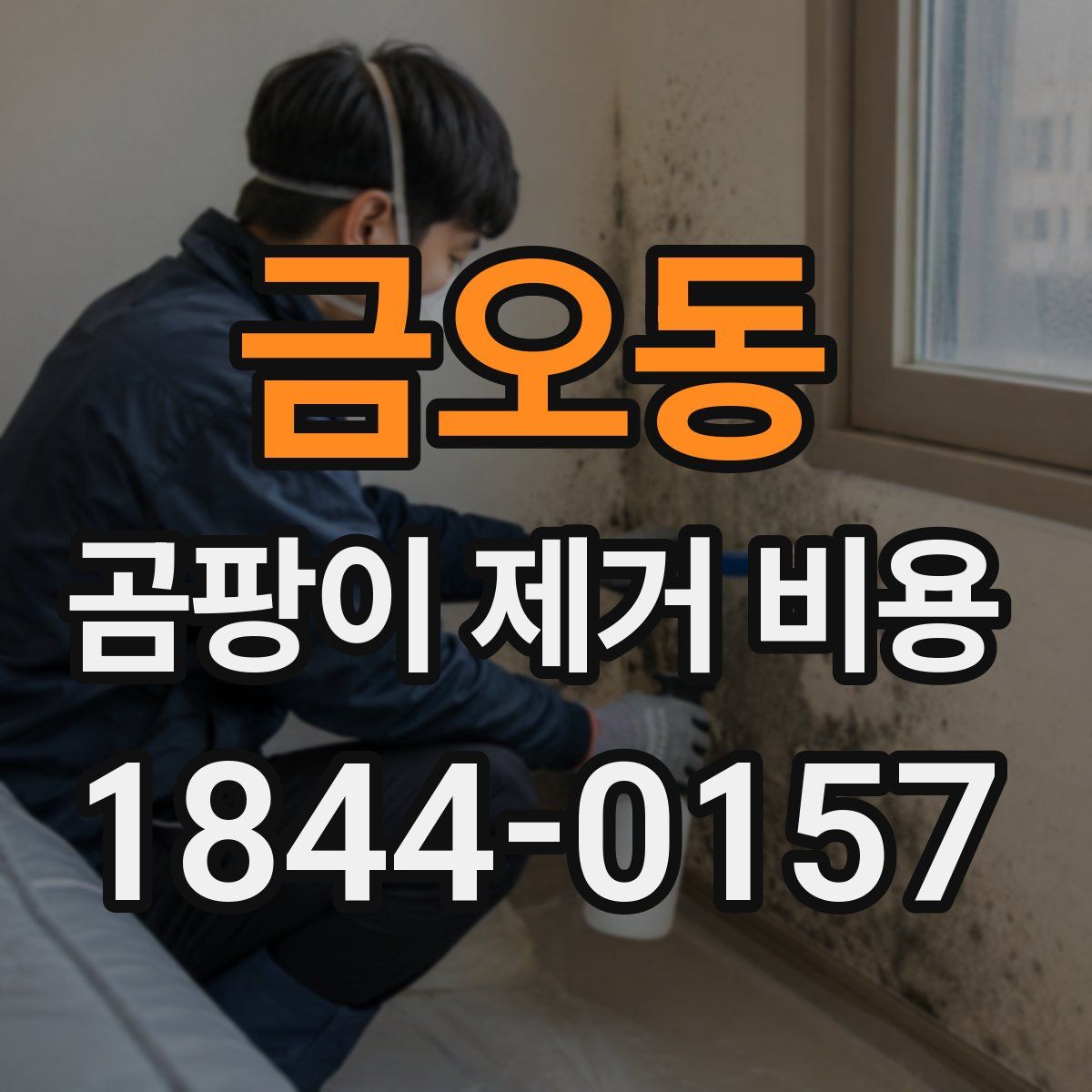 금오동 곰팡이 제거 비용