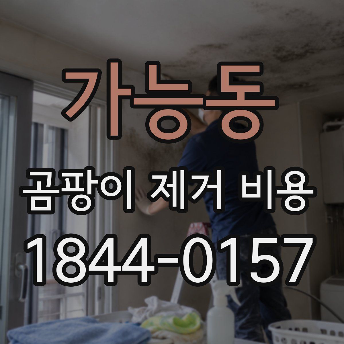 가능동 곰팡이 제거 비용