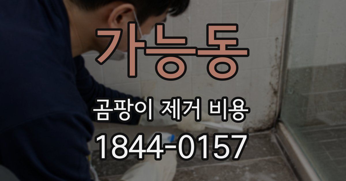 가능동 곰팡이 제거 비용
