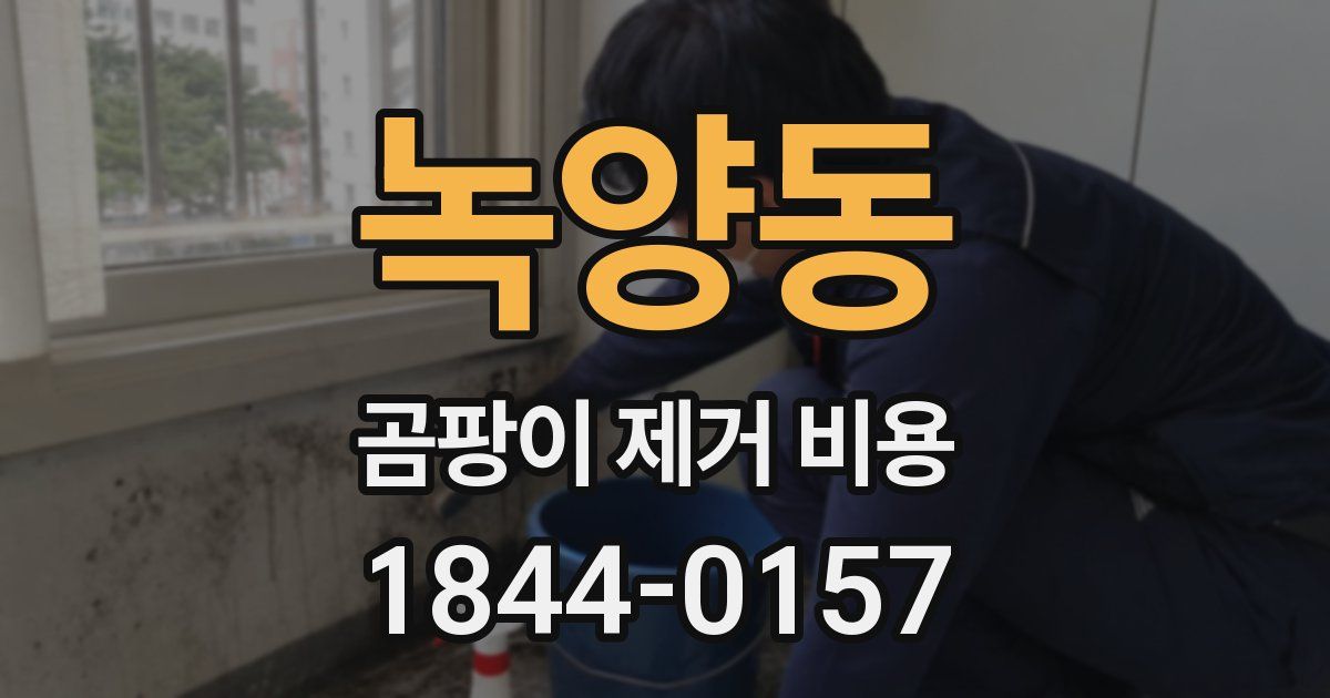 녹양동 곰팡이 제거 비용