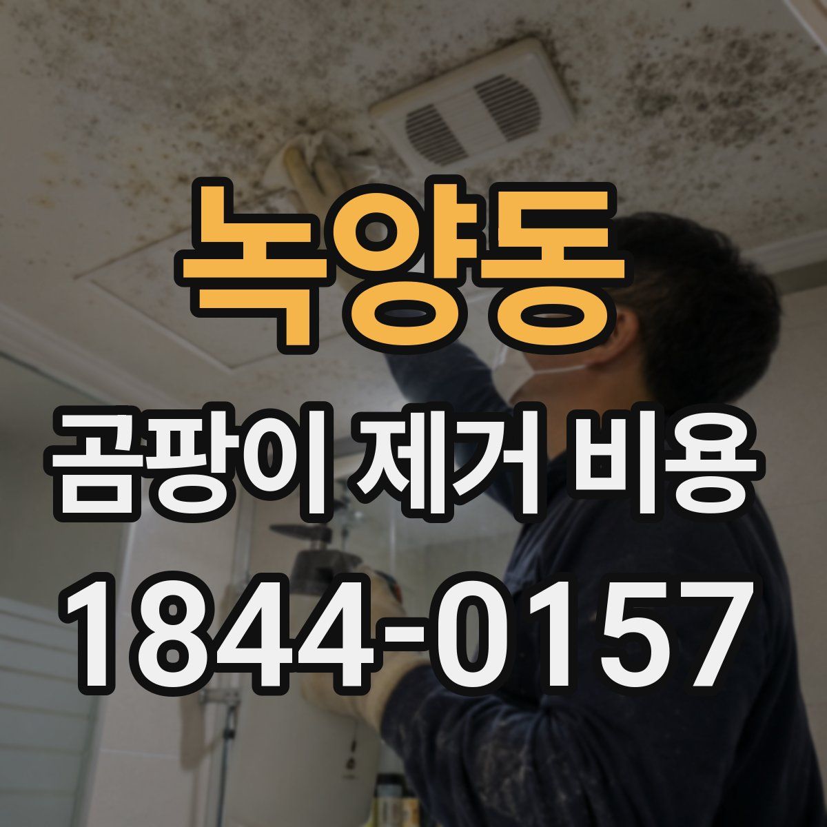녹양동 곰팡이 제거 비용
