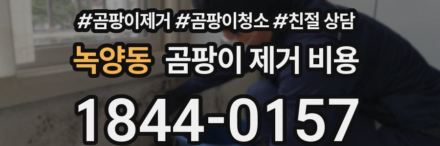 녹양동 곰팡이 제거 비용
