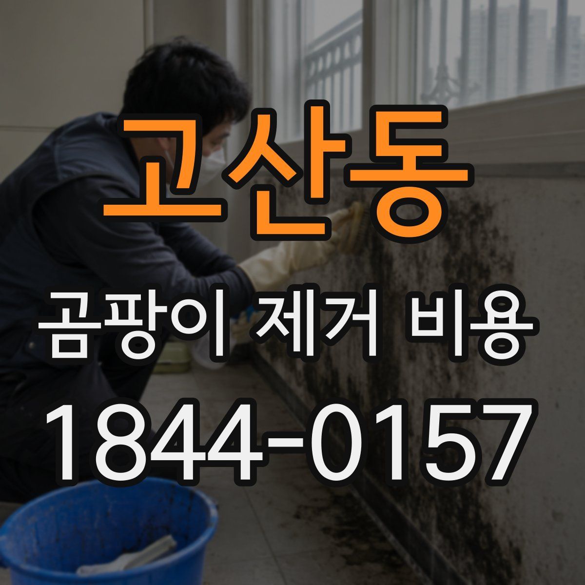 고산동 곰팡이 제거 비용