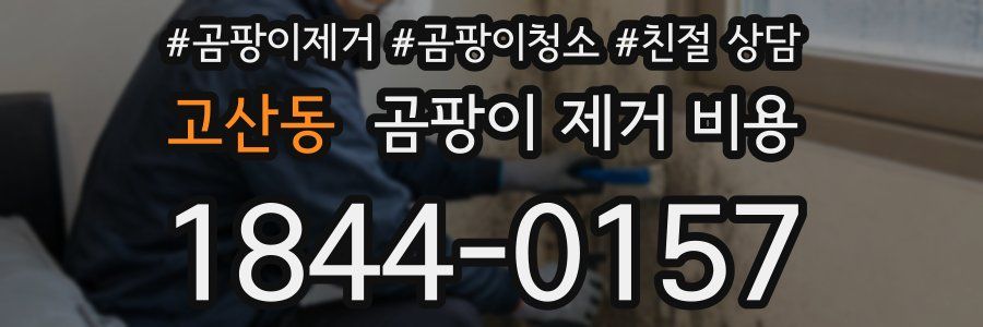고산동 곰팡이 제거 비용