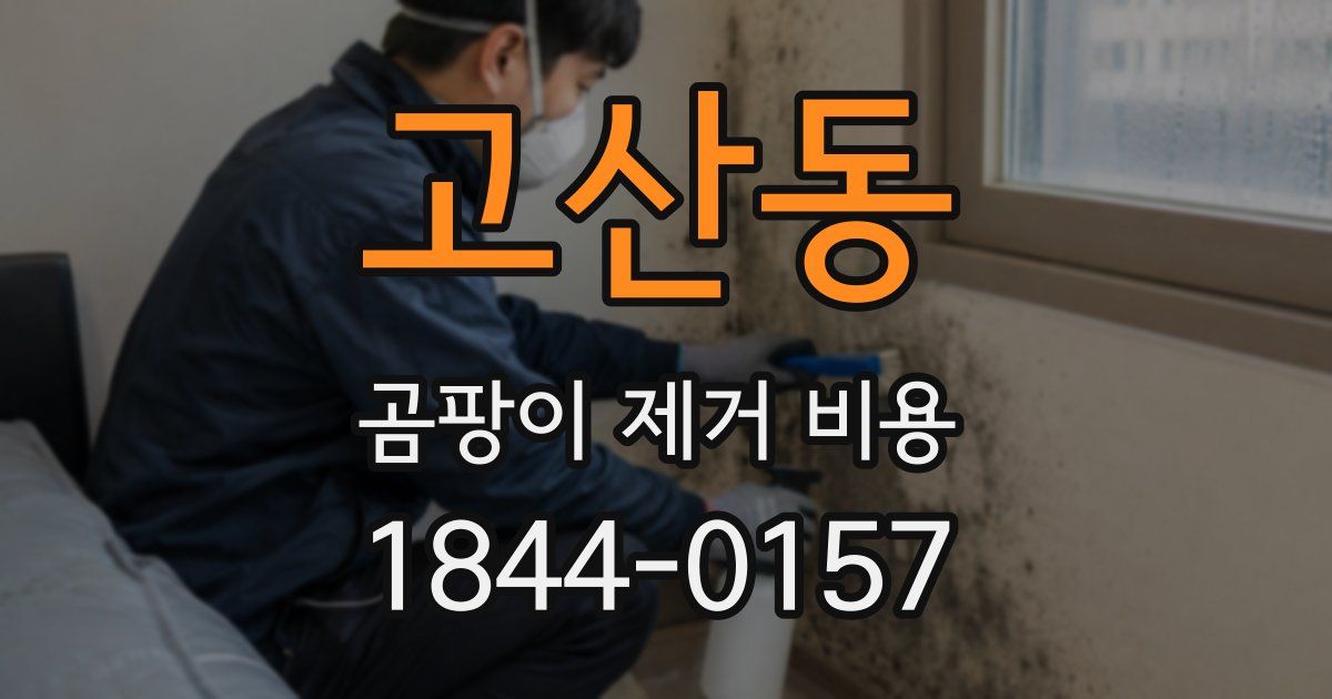 고산동 곰팡이 제거 비용