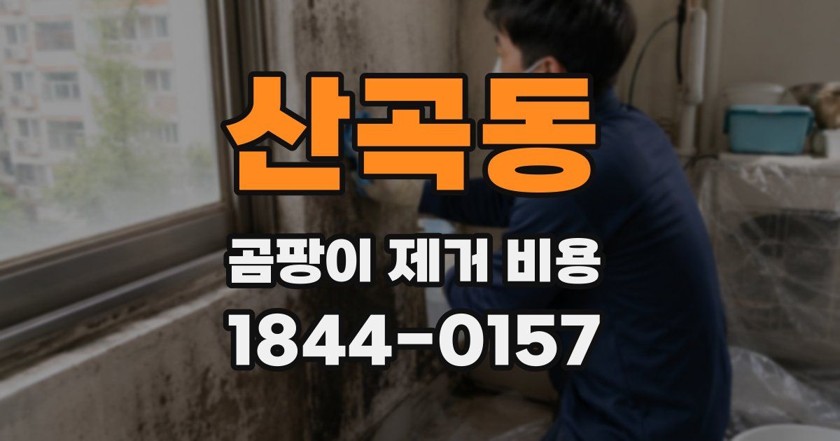 산곡동 곰팡이 제거 비용