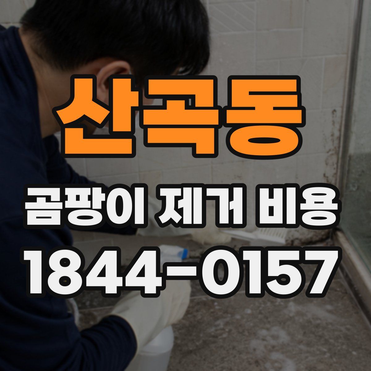 산곡동 곰팡이 제거 비용