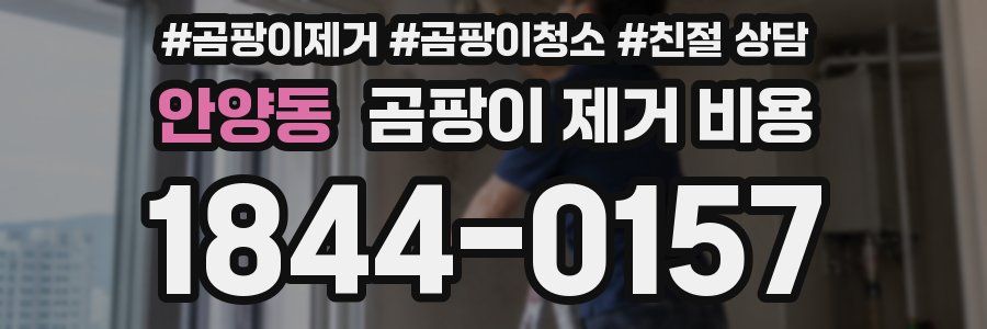 안양동 곰팡이 제거 비용