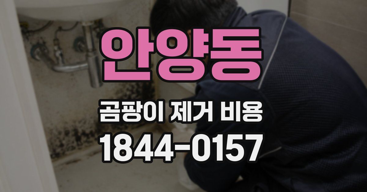 안양동 곰팡이 제거 비용