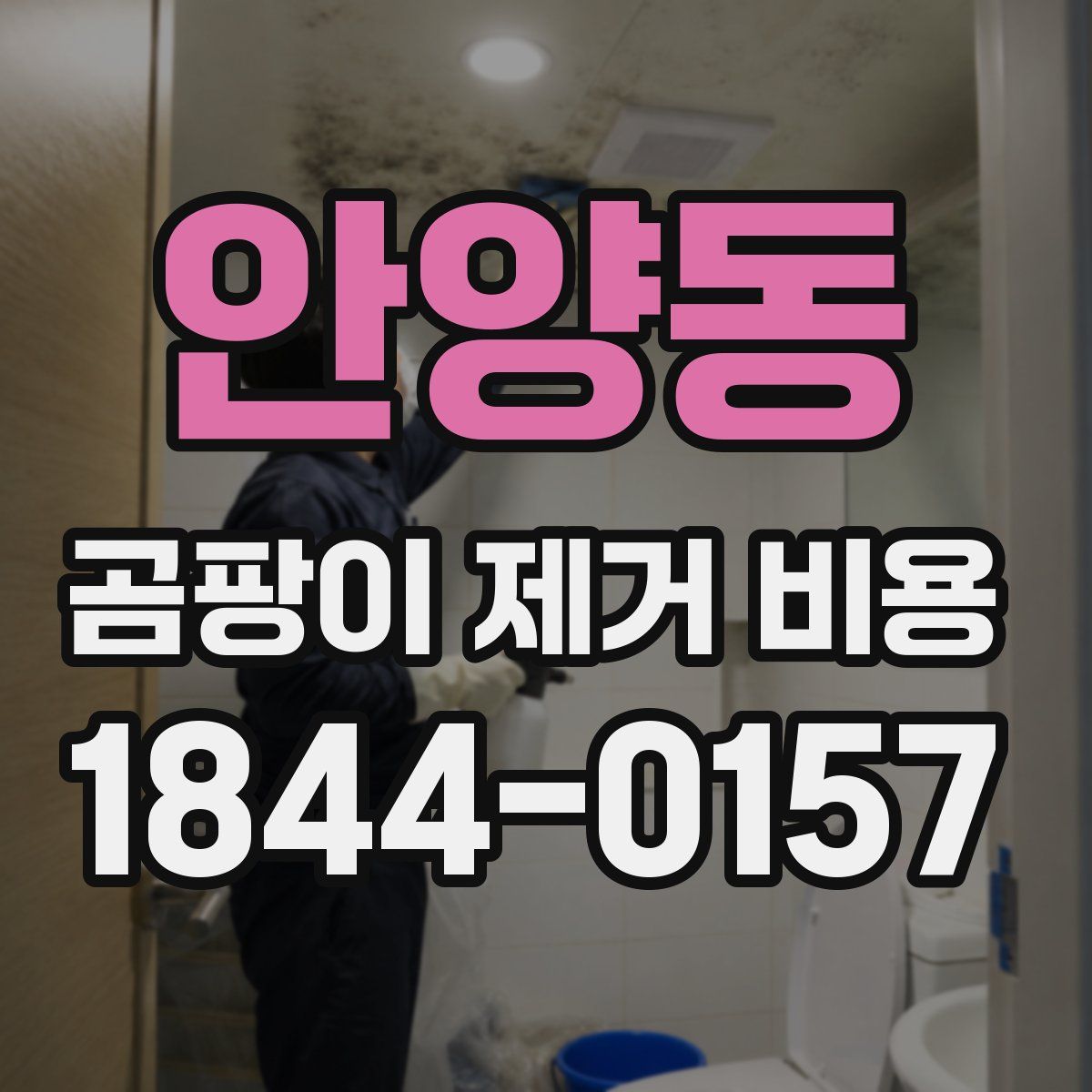 안양동 곰팡이 제거 비용