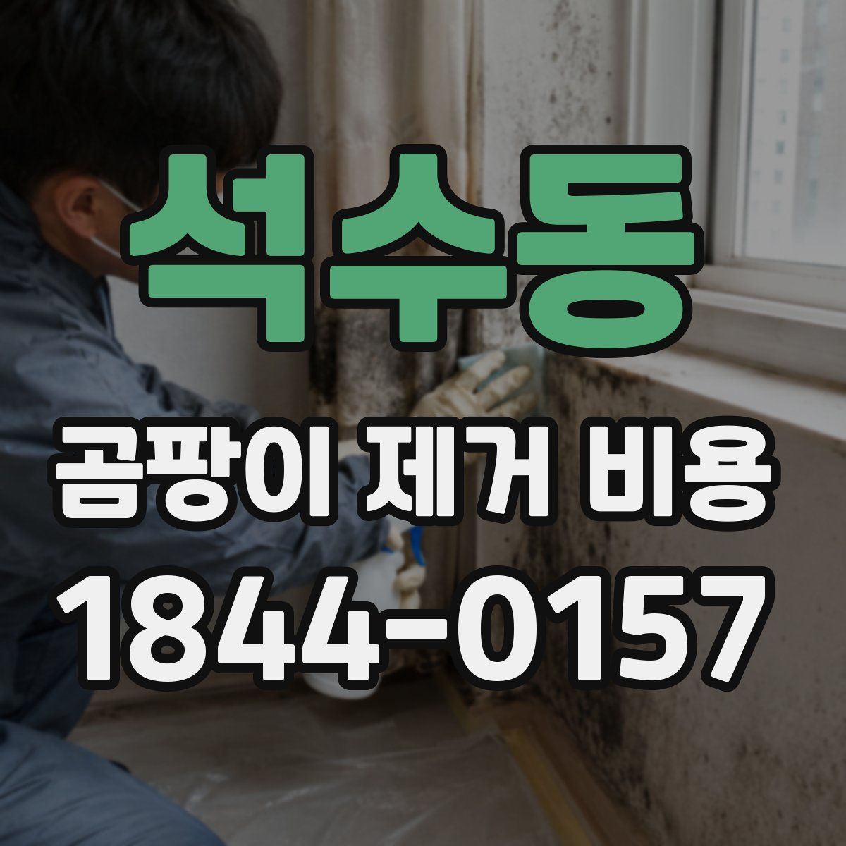 석수동 곰팡이 제거 비용