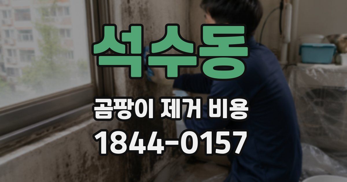 석수동 곰팡이 제거 비용