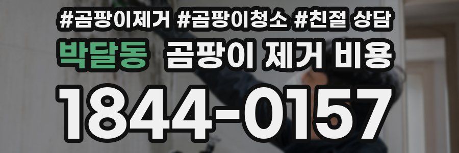 박달동 곰팡이 제거 비용