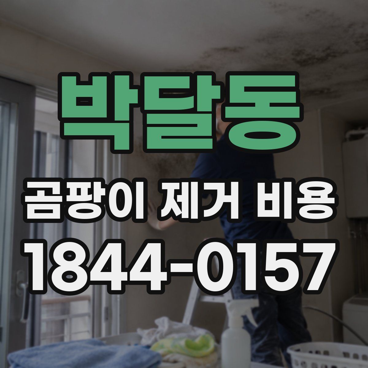 박달동 곰팡이 제거 비용