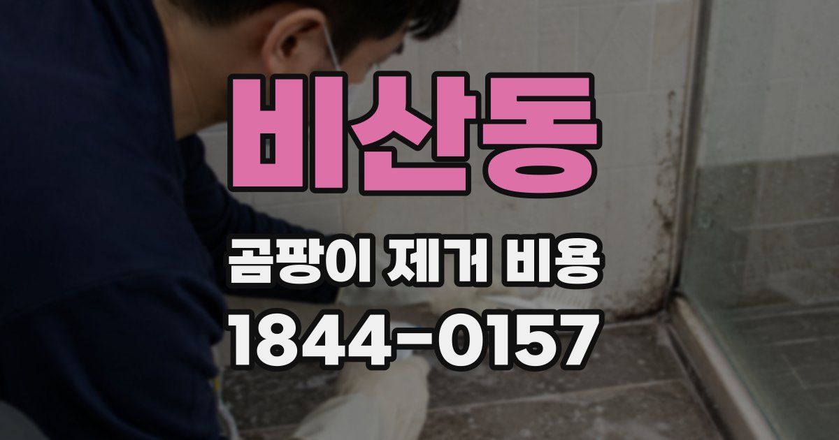 비산동 곰팡이 제거 비용