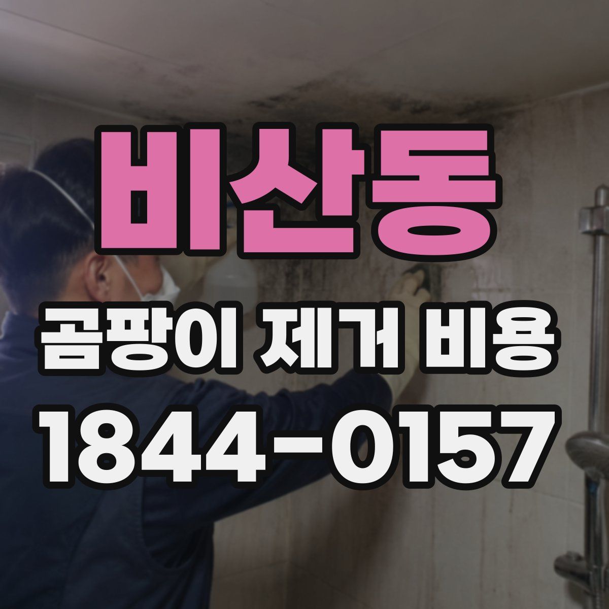 비산동 곰팡이 제거 비용