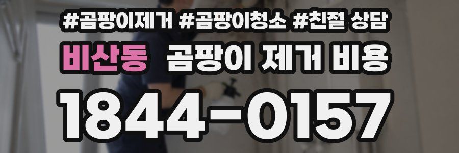 비산동 곰팡이 제거 비용