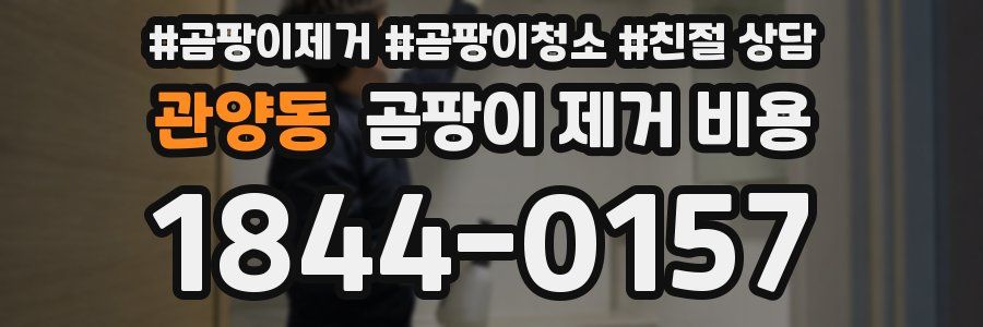관양동 곰팡이 제거 비용