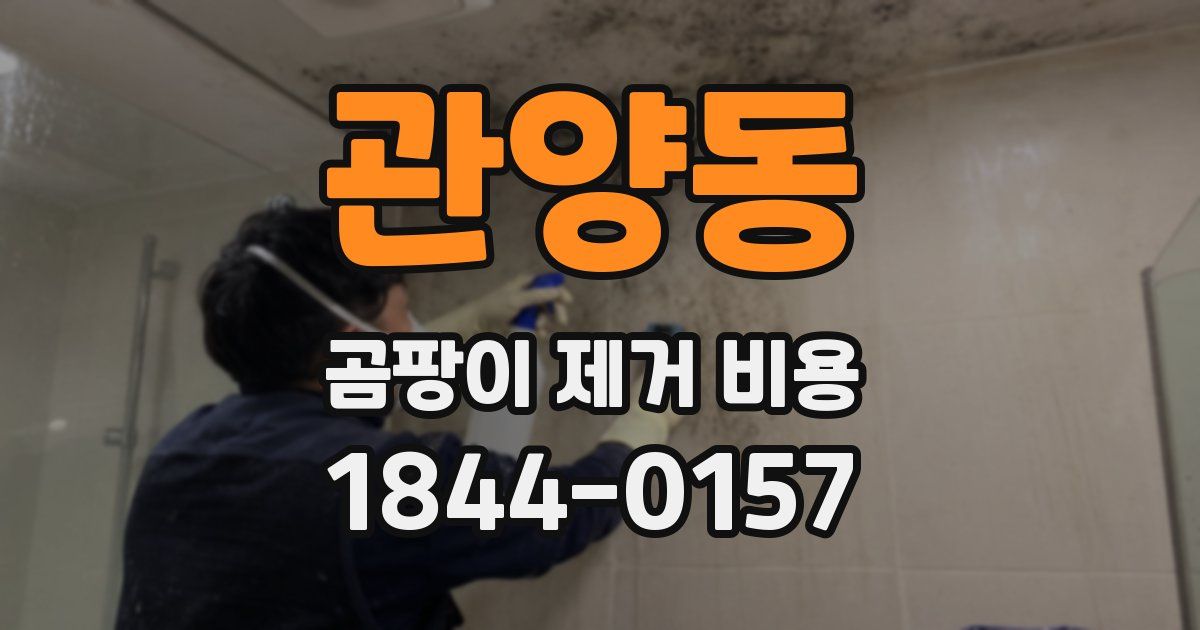 관양동 곰팡이 제거 비용