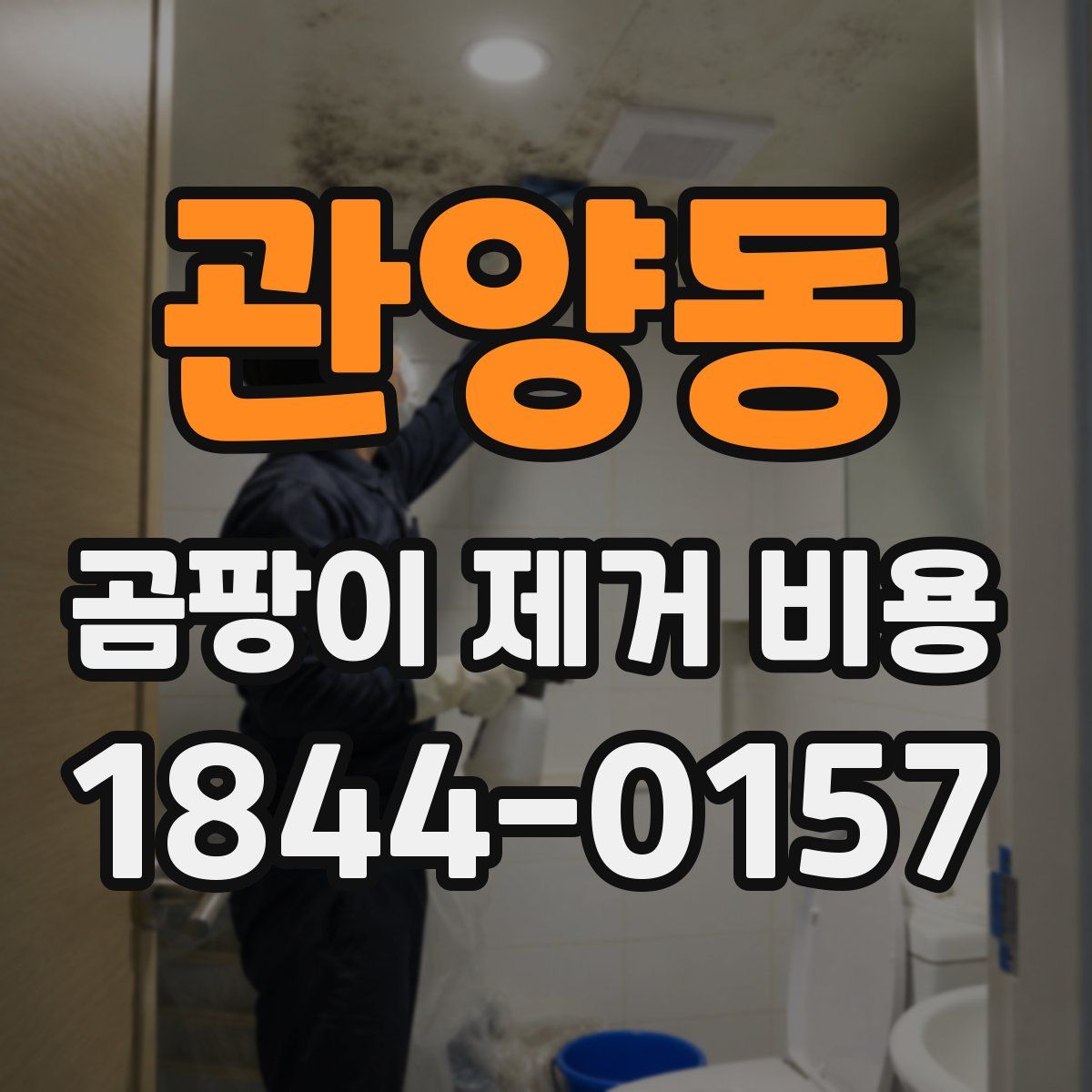 관양동 곰팡이 제거 비용