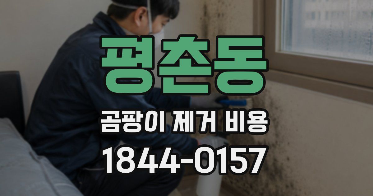 평촌동 곰팡이 제거 비용