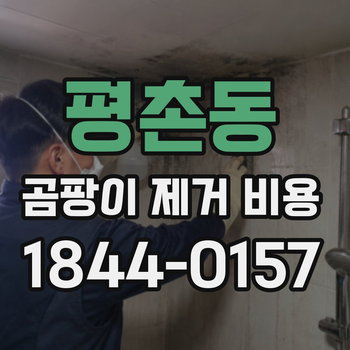 평촌동 곰팡이 제거 비용