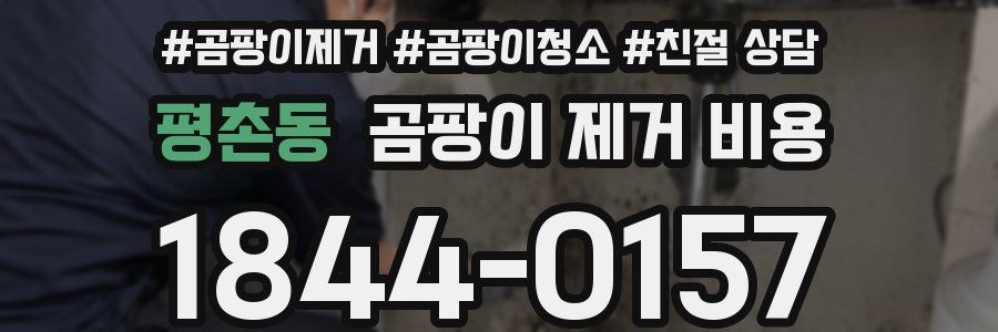 평촌동 곰팡이 제거 비용