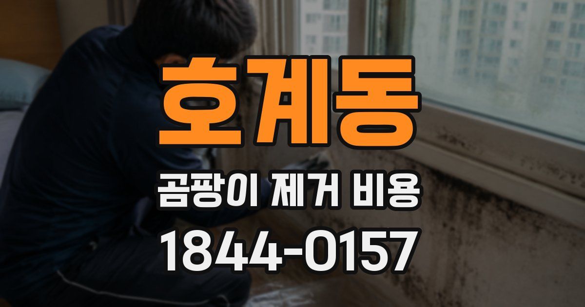 호계동 곰팡이 제거 비용