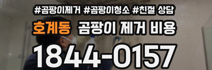 호계동 곰팡이 제거 비용