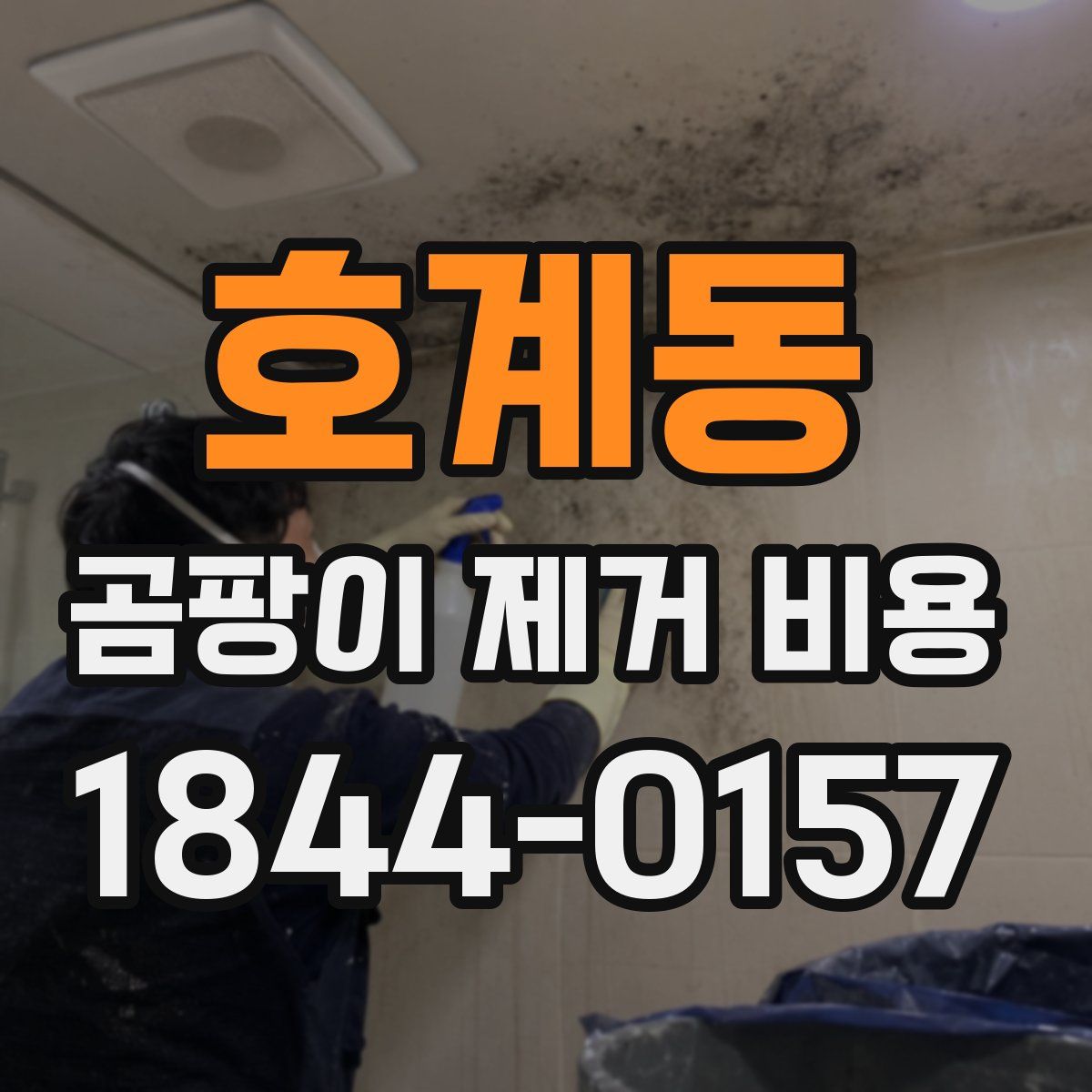 호계동 곰팡이 제거 비용